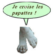 croise pattes
